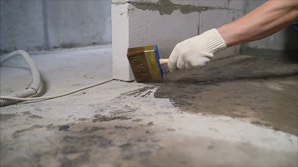 SJ Waterproofing Pros Basement Waterproofing coverage map for Waverly, MI and surrounding area